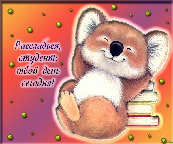 Открытка День студента - Коала с книгами: открытка, рисунок, милый коала | Красивая открытка #163