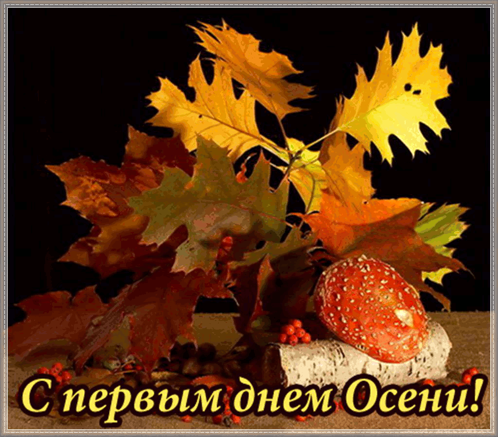 Открытка Открытки с первым днем осени - Открытка с осенними листьями и ягодами | Красивая открытка #25