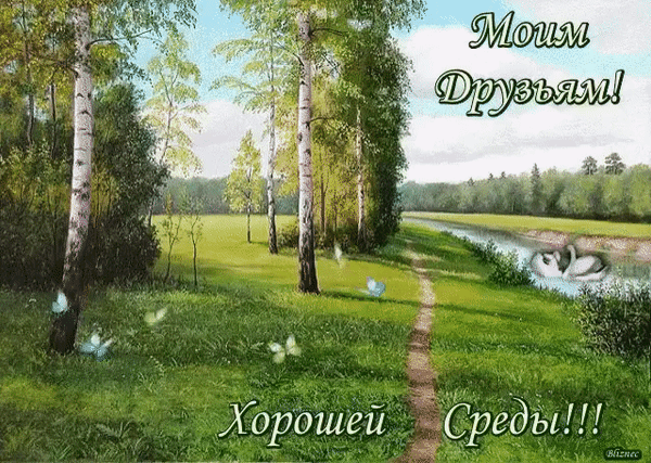 Открытка Открытки на среду - Открытка с лугом и рекой: пейзаж, природа, цветы | Красивая открытка #59