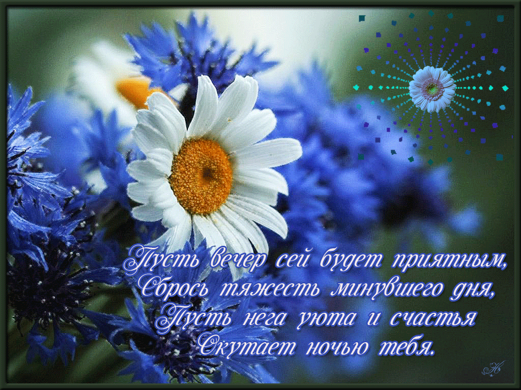 Открытка Хорошего вечера - Открытка с ромашкой: нежность и красота | Красивая открытка #13