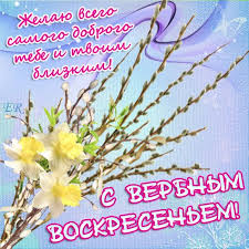 Открытка открытки с вербным воскресеньем  - Открытка с нарциссами и весенней зеленью | Красивая открытка #9