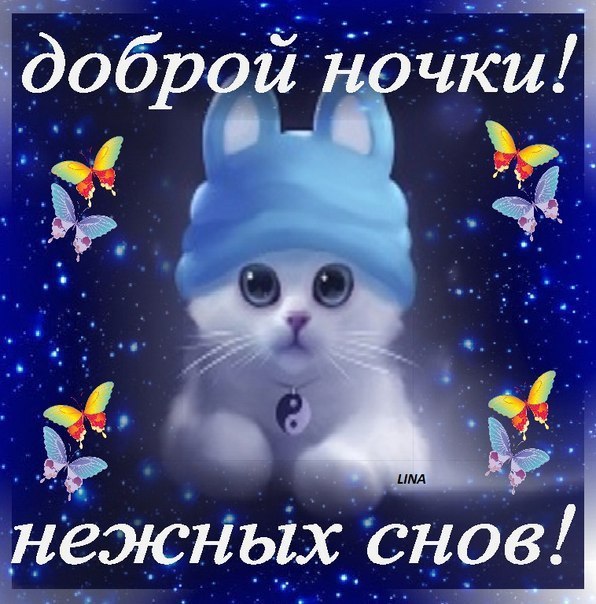 Открытка открытки с пожеланиями спокойной ночи  - Открытка с котенком и бабочками | Красивая открытка #1