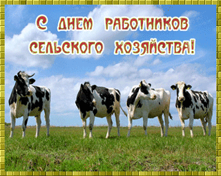 Открытка Открытки на день работников сельского хозяйства и перерабатывающей промышленности  - Коровы на лугу: открытка с коровами  Симпатичная открытка | Красивая открытка #38