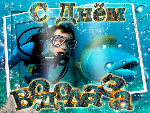 Открытка Открытки с днем водолаза - Открытка с дайвером и дельфином | Красивая открытка #6