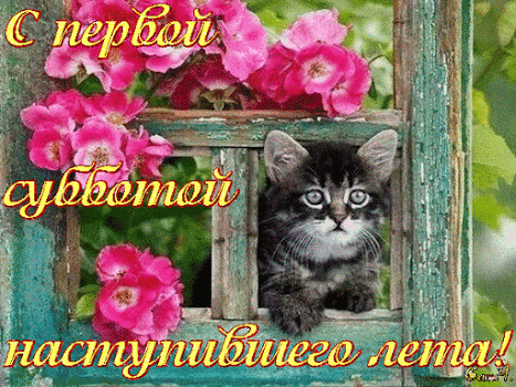 Открытка Открытки на субботу - Открытка с котенком и цветами | Красивая открытка #170