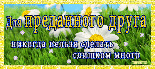 Открытка О дружбе - Открытка с ромашками на лугу | Красивая открытка #71