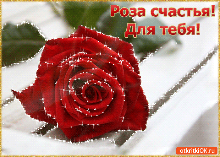Открытка Для тебя - Красная роза в снежинках - Красивая открытка | Красивая открытка #137