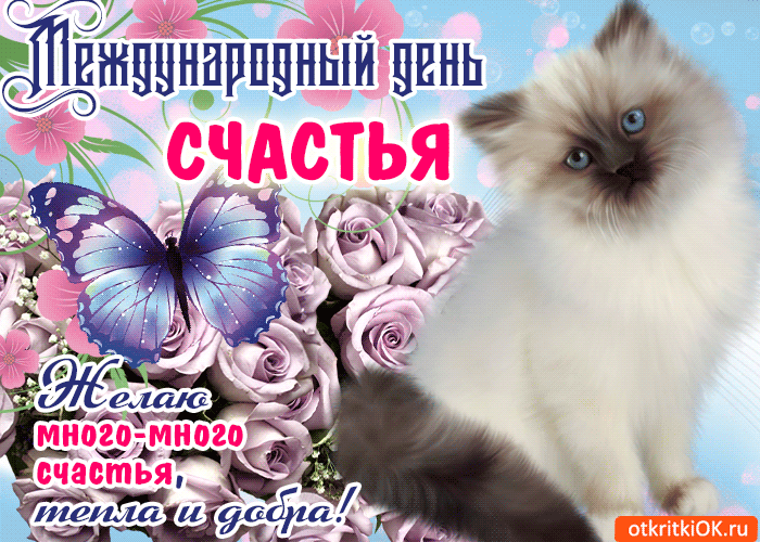 Открытка День счастья - Открытка с котиком и цветами: поздравление с днем рождения | Красивая открытка #12