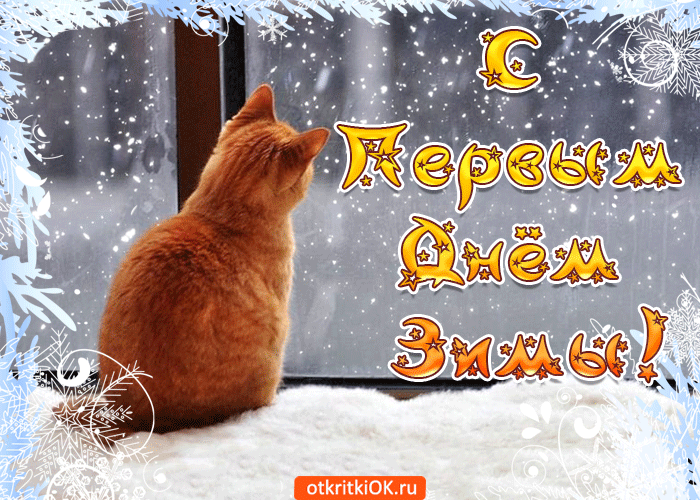 Открытка С первым днём зимы - Рыжий кот на окне: открытка снегом и добром | Красивая открытка #81