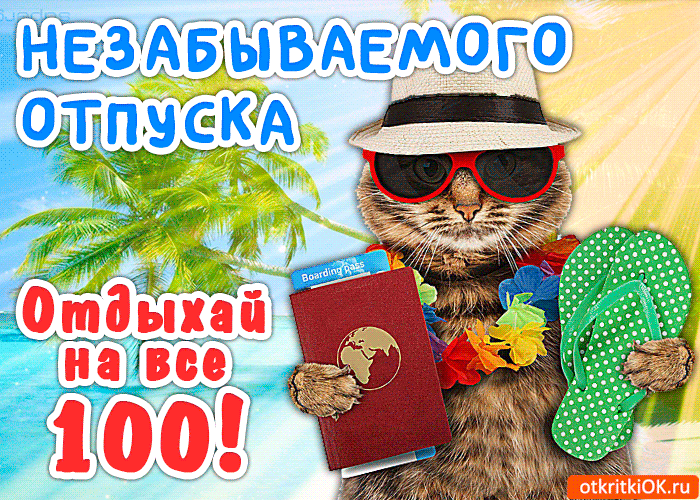 Открытка Открытки хорошего отдыха - Котик в отпуске: смешная открытка с паспортом | Красивая открытка #38