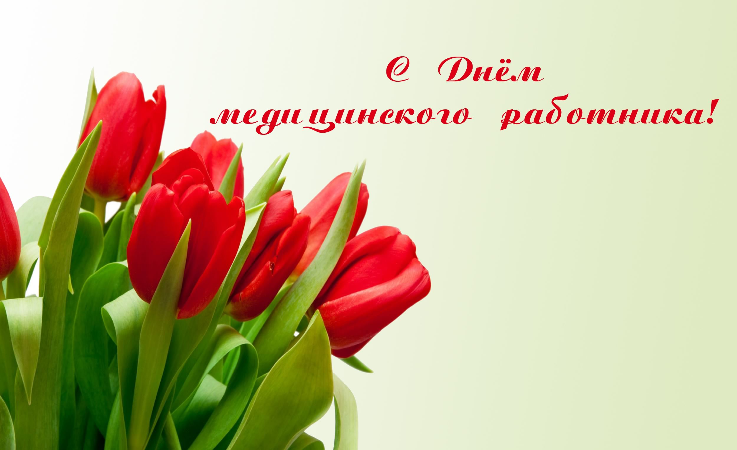 Открытка Открытки с днем медицинского работника - Красные тюльпаны на открытке | Красивая открытка #202