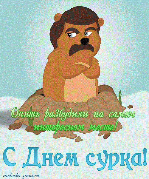Открытка День сурка - С Днем сурка! Открытка с сурком на снегу | Красивая открытка #36