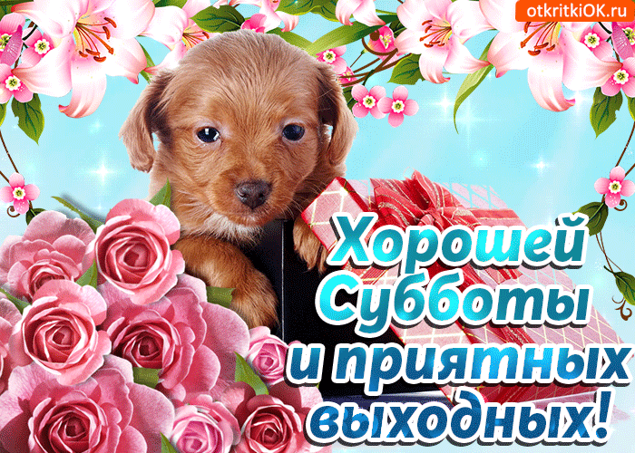 Открытка Открытки на субботу - Открытка с щенком и цветами  Приятных выходных | Красивая открытка #134