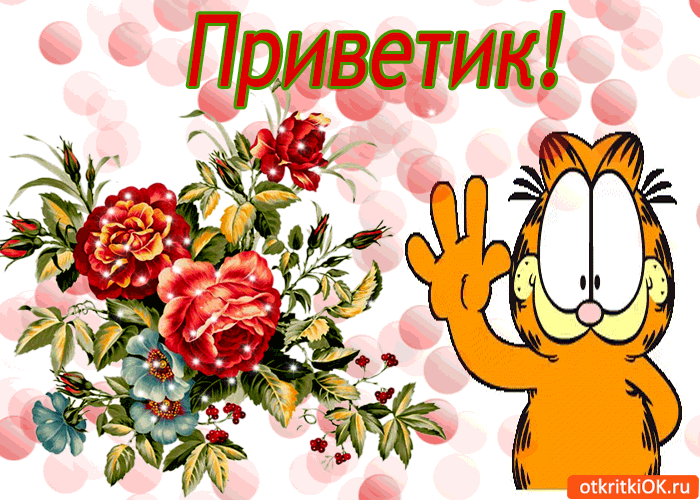Открытка Открытки с приветствиями  - Открытка с Гарфилдом и цветами | Красивая открытка #23