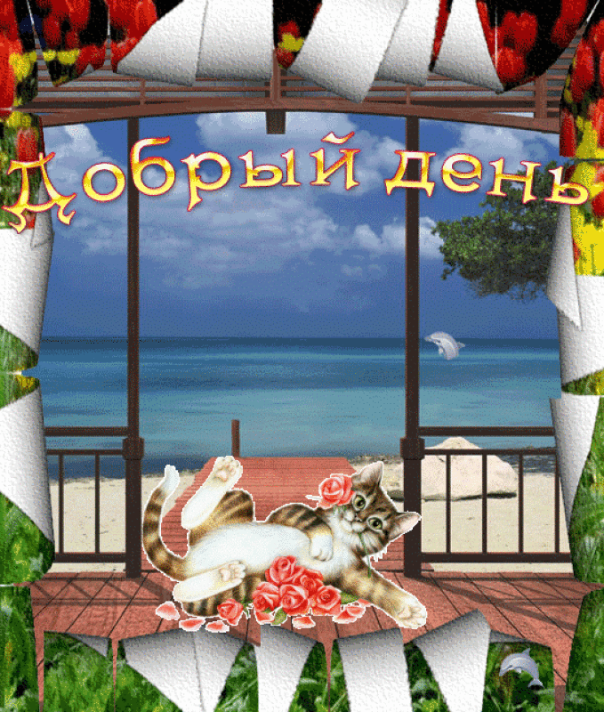 Открытка добрый день - Котенок на фоне моря: открытка с видом на пляж | Красивая открытка #62