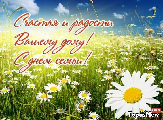 Открытка открытки на день семьи и верности  - Открытка с ромашками и надписью | Красивая открытка #10
