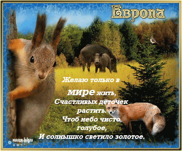 Открытка Открытки с днем мира - Белка и ежонок на лугу: открытка с природой | Красивая открытка #14