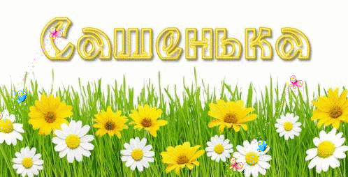 Открытка Открытки с именем Александра - Открытка с ромашками и надписью "С днём!" | Красивая открытка #53