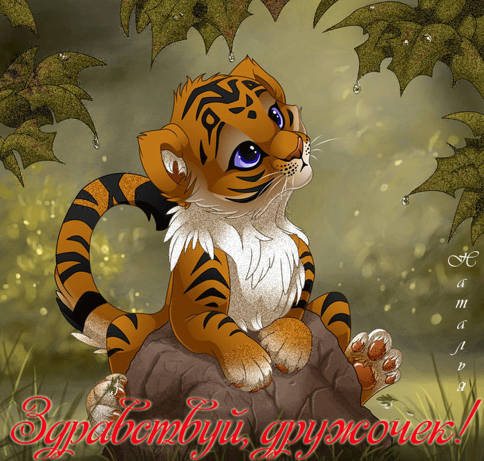 Открытка Привет - Милый тигрёнок на камне, открытка | Красивая открытка #216