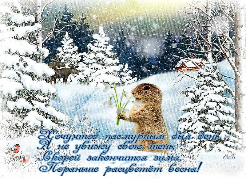 Открытка День сурка - Открытка с сусликом и весенними цветами в заснеженном лесу | Красивая открытка #27