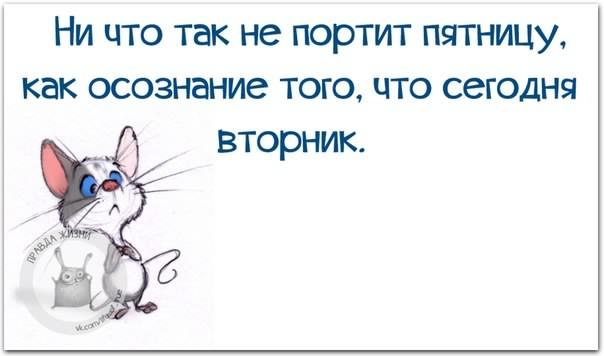 Открытка Открытки на вторник - Открытка с милым мышонком - купить онлайн | Красивая открытка #54