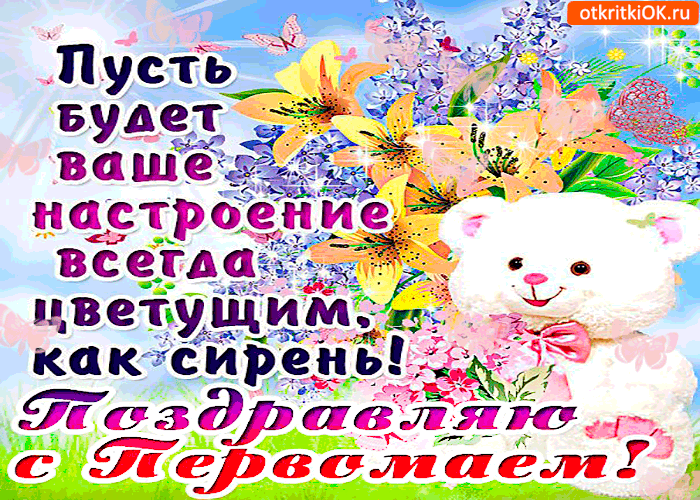 Открытка С сиренью - Открытка с мишкой и цветами | Красивая открытка #73