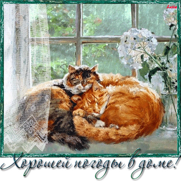 Открытка Картинки про погоду - Две кошки на окне: милая открытка с кошками | Красивая открытка #21