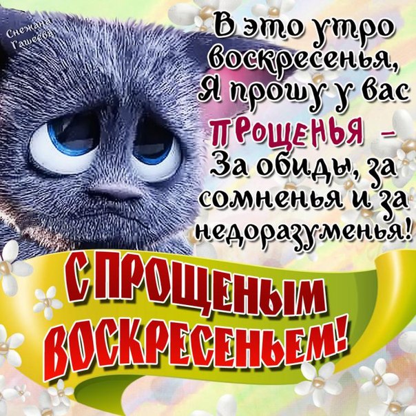 Открытка открытки на прощеное воскресенье  - Котенок с цветами: открытка с днем рождения | Красивая открытка #7