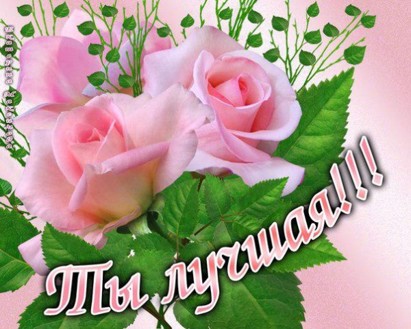 Открытка Ты лучшая - Букет роз: нежные розы на открытке | Красивая открытка #9