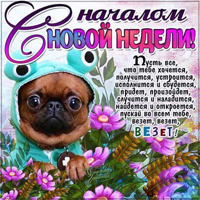 Открытка открытки с пожеланиями хорошей недели  - Открытка с щенком в костюме на праздничный день | Красивая открытка #11