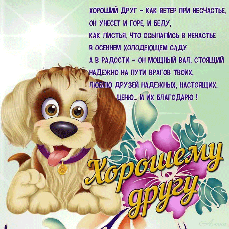 Открытка Открытки о дружбе - Открытка с собакой: поздравления с днем дружбы | Красивая открытка #72
