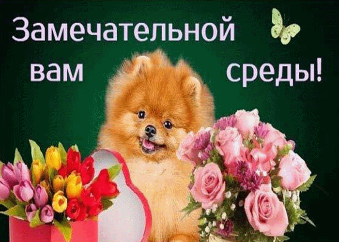 Открытка Открытки на среду - Открытка с щенком и цветами | Красивая открытка #136