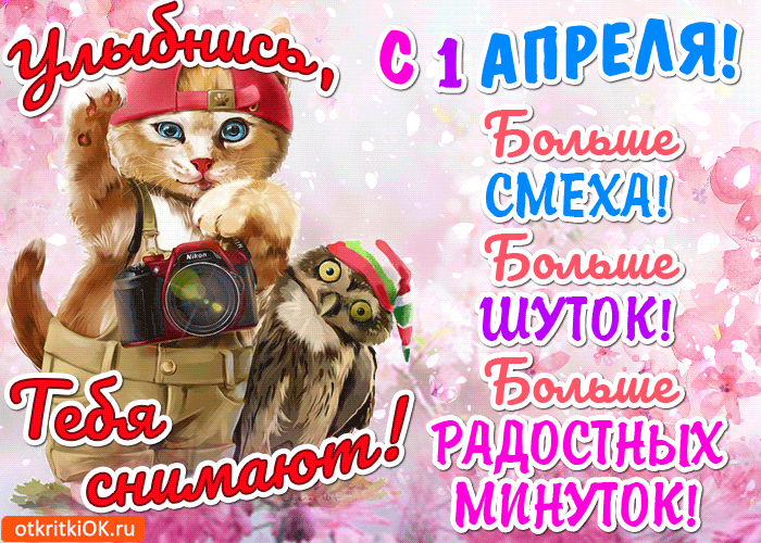 Открытка 1 апреля - Открытка с котиком и фотоаппаратом | Красивая открытка #118