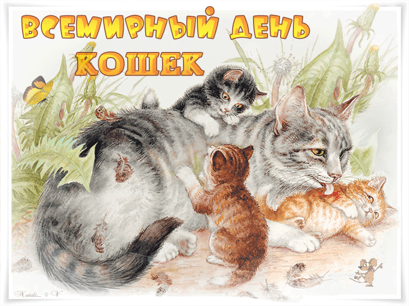 Открытка День Кошек - Котенок и бабочки: милая открытка с котятами | Красивая открытка #24
