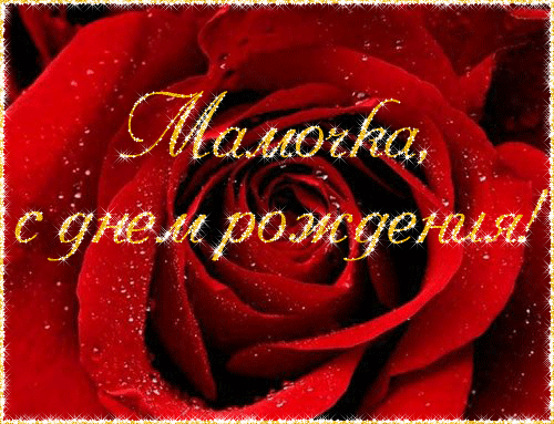 Открытка Открытки с Днем Рождения маме - Красная роза: открытка с днем рождения | Красивая открытка #52