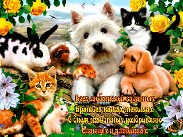 Открытка Открытки с днем защиты животных - Открытка с котятами и щенками: поздравления с праздником | Красивая открытка #19
