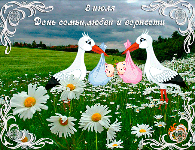 Открытка День семьи - Открытка с лебедями и детками | Красивая открытка #24