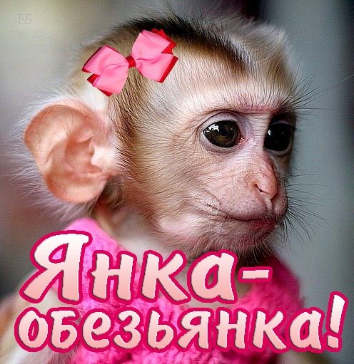 Открытка открытки с именем Яна - Милая обезьянка с бантиком: открытка с сюрпризом | Красивая открытка #4