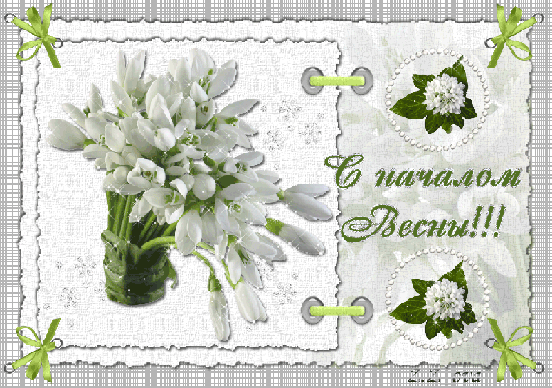 Открытка Открытки весенняя пора - Открытка с подснежниками: весеннее приветствие | Красивая открытка #199