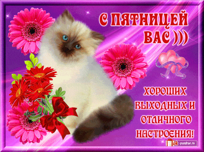 Открытка Пятница - Котенок с цветами: открытка с днем рождения | Красивая открытка #2