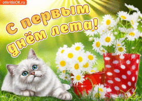 Открытка С последним днем лета! - Открытка с котенком и ромашками | Красивая открытка #33