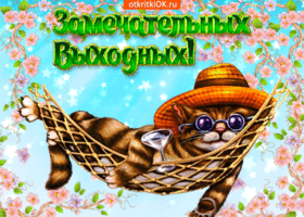 Открытка Открытки хороших выходных - Кот в гамаке: смешная открытка с котиком | Красивая открытка #168