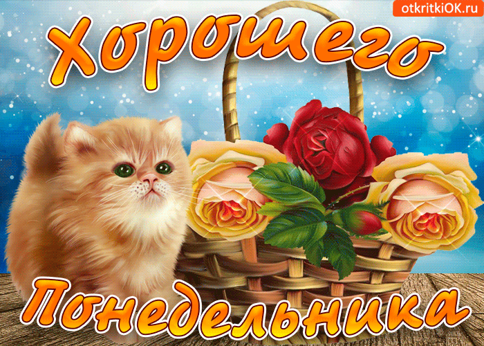 Открытка Открытки на понедельник - Открытка с котенком и цветами | Красивая открытка #63