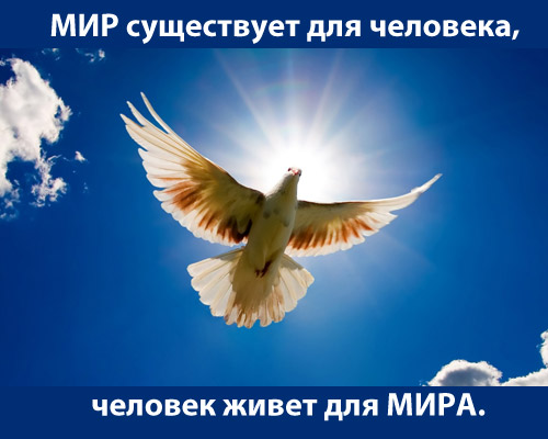 Открытка открытки на день мира - Голубь на фоне солнца и голубого неба | Красивая открытка #7