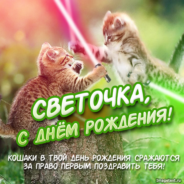 Открытка открытки с именем Света  - Открытка с котятами: С Днем Рождения! | Красивая открытка #19
