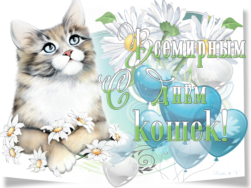 Открытка С Всемирным днём кошек - Открытка с котенком и шарами | Красивая открытка #23