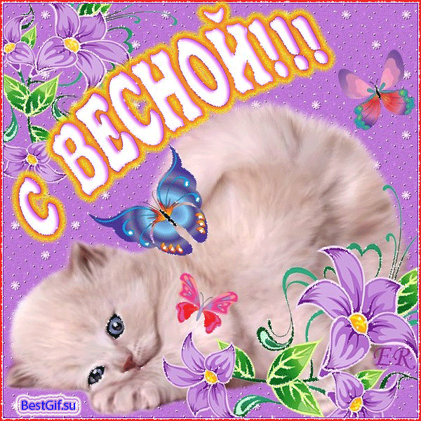Открытка Открытки весенняя пора - Милый котенок с бабочками  открытка | Красивая открытка #141