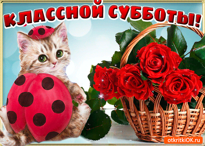 Открытка Открытки на субботу - Открытка с котенком и розами | Красивая открытка #126