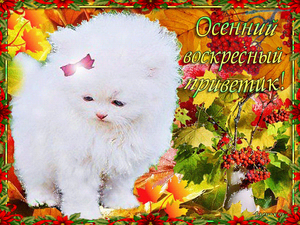 Открытка Осенний приветик - Открытка с щенком: яркие осенние листья и ягоды | Красивая открытка #81