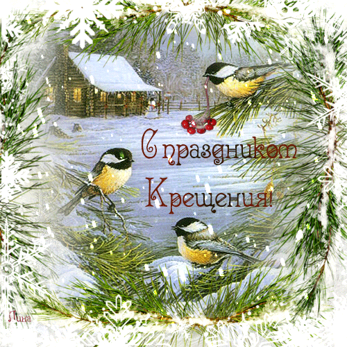 Открытка Открытки с Крещением Господним - Открытка: Зимние синички, хвойный лес, снег | Красивая открытка #50